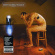 Biffy Clyro - Puzzle Biffy Clyro - Puzzle