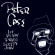 Peter Case - Let Us Now Praise Sleepy John Peter Case - Let Us Now Praise Sleepy John