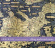 Various - Along Uncharted Routes Various - Along Uncharted Routes