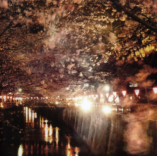 Blandade Artister - Enjoy The Silence Vol. 2