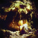Wolves In The Throne Room - Celestial Lineage Wolves In The Throne Room - Celestial Lineage