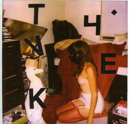 Tyvek - Nothing Fits