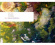 Various Composers - Organ Works Various Composers - Organ Works